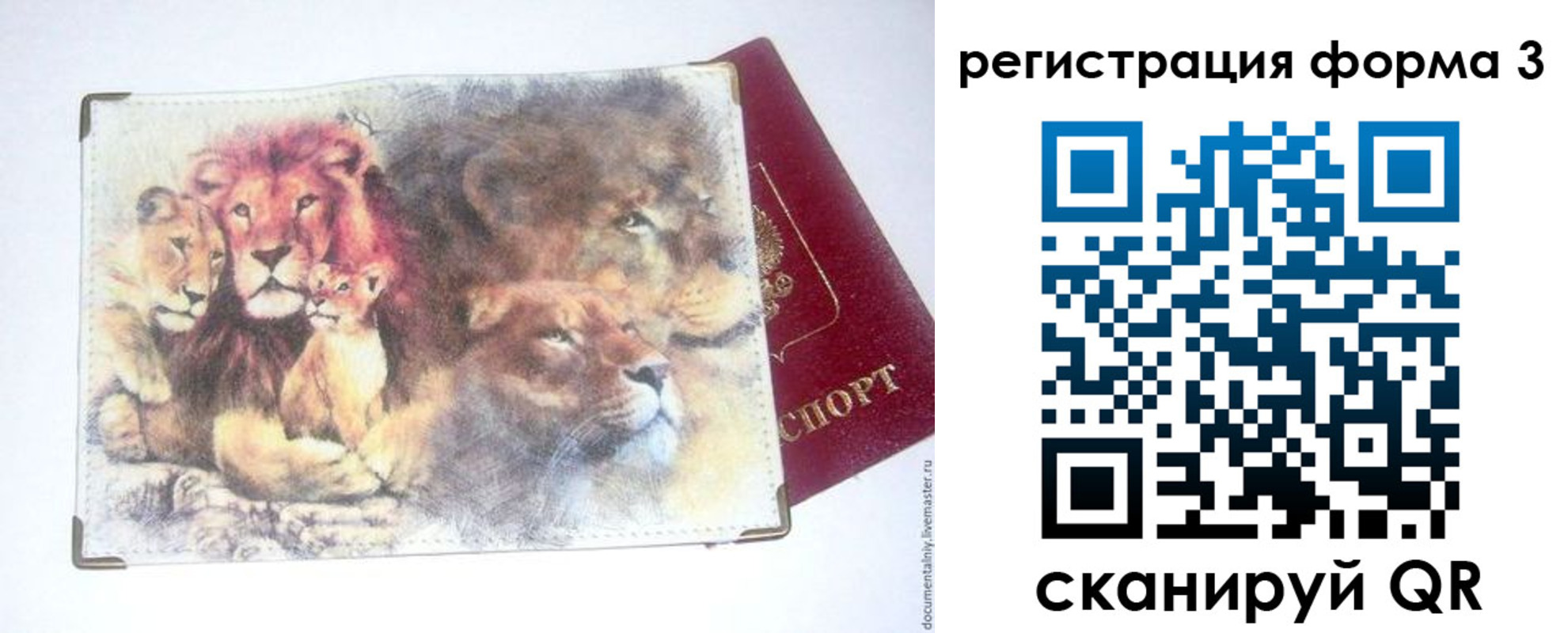 прописка в квартире в Бакале